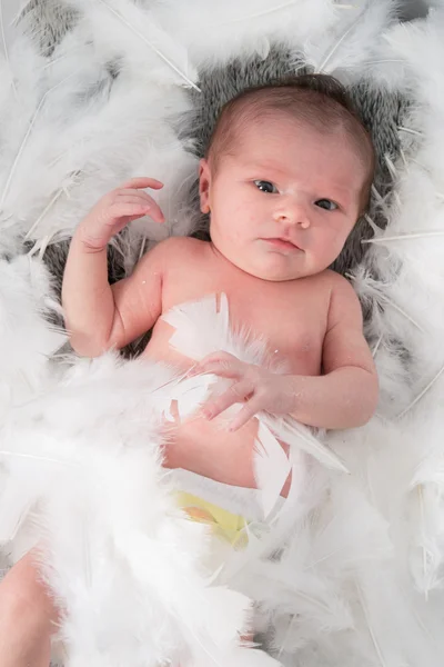 Close up de bebê recém-nascido bonito — Fotografia de Stock