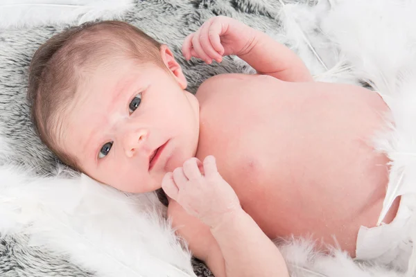 Close up of cute new born baby — Stock Photo, Image