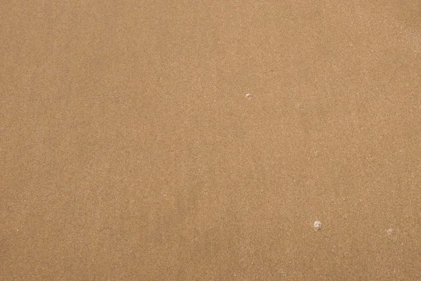 Beau paysage arrière-plan de la plage, sauvage et océan — Photo