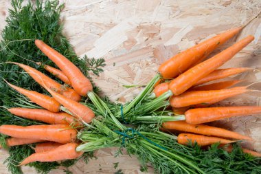 Harvest of organics carrotts clipart