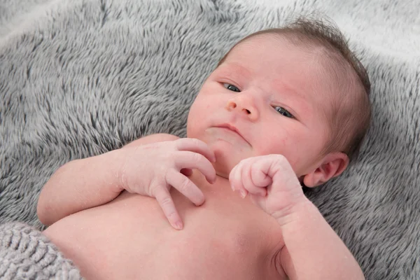 Kameraya bakarak şirin yeni doğan bebek, yakın çekim — Stok fotoğraf