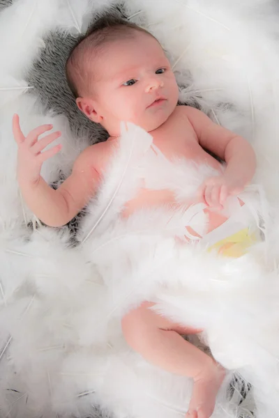 New born baby Stock Picture