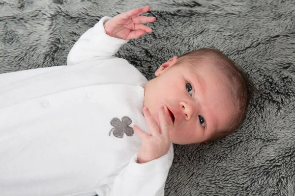 Feliz bebé recién nacido acostado en manta gris — Foto de Stock