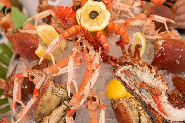 Plat de mélange de fruits de mer près sur la glace — Photo