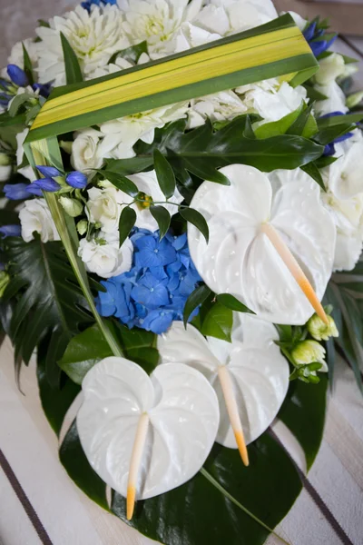 푸른 꽃 과흰 꽃들 — 스톡 사진
