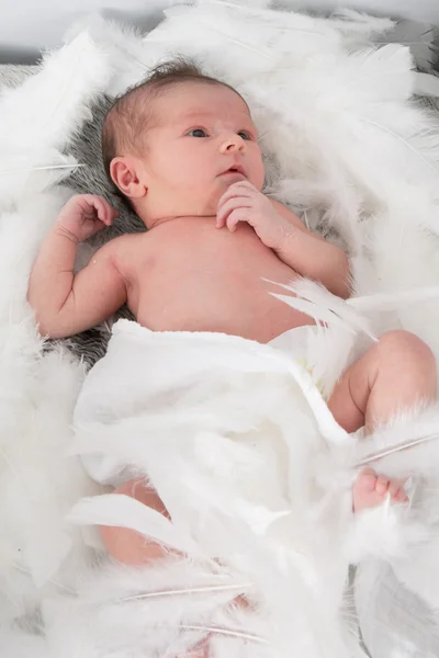 O novo bebê — Fotografia de Stock