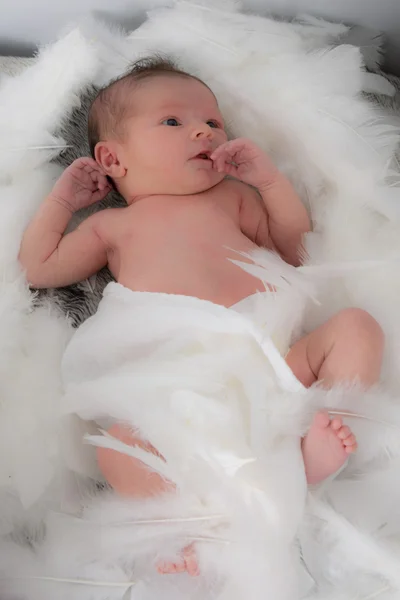 Bebê recém-nascido em algodão branco e penas — Fotografia de Stock