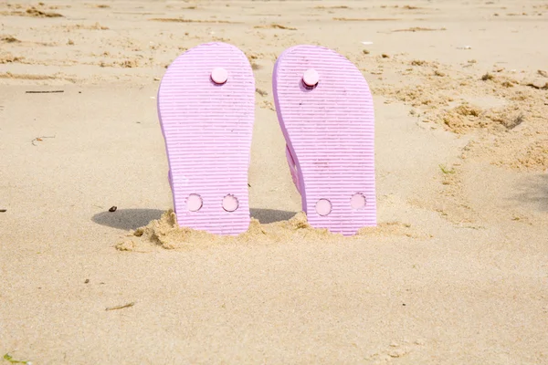 On the beach — Stock Photo, Image