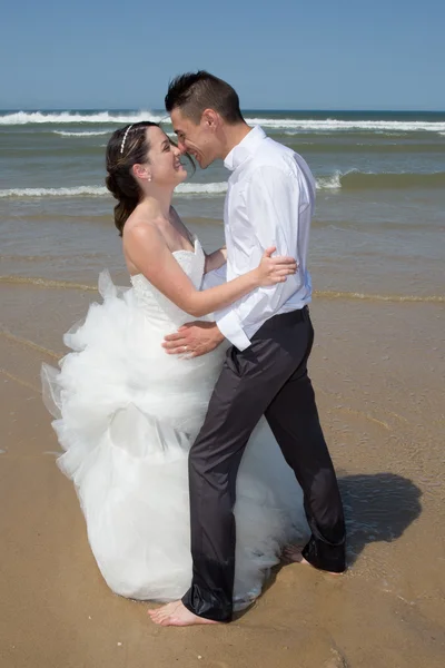 Pareja de boda — Foto de Stock