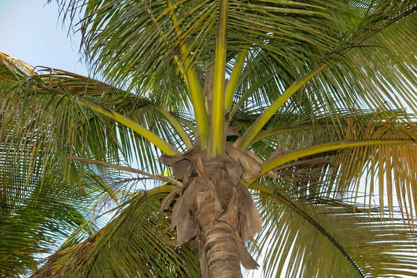 Juste en vacances, plage d'été — Photo