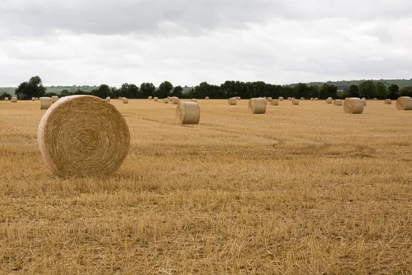 Fäbodvallen landskap med höstack på bakgrunden av vacker solnedgång. — Stockfoto