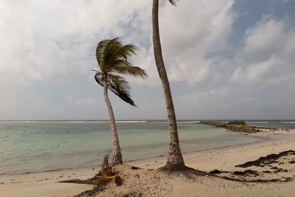 Beautiful Beach Tropical Sea — Stock Photo, Image