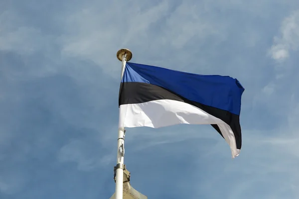 Flaga Estonii pod błękitne niebo — Zdjęcie stockowe