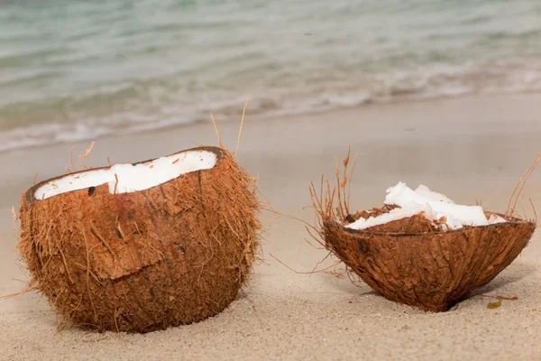 Vista de perto do agradável coco fresco no ambiente tropical — Fotografia de Stock