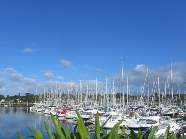 Yelkenli harbor, çok güzel Yelkenli Yatlar deniz limanda palamarla
