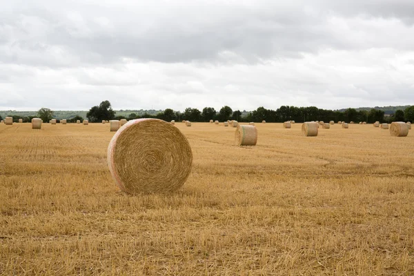 Paisagem de fazenda de verão com Haystack — Fotografia de Stock