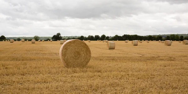 Sommaren gård landskap med höstack på bakgrund av vacker solnedgång. Jordbruk-konceptet. — Stockfoto