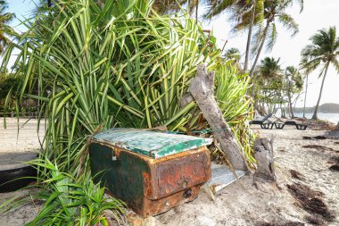 Palmiye ağaçları ile güzel manzara