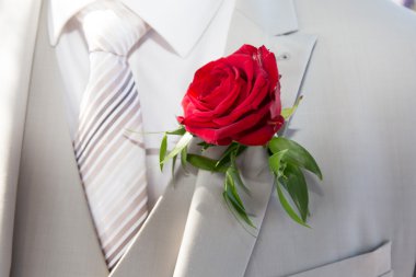 Takım elbise ceket damat kırmızı gül