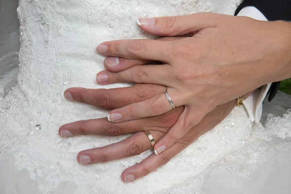 Novia y un novio tomados de la mano en el día de la boda — Foto de Stock