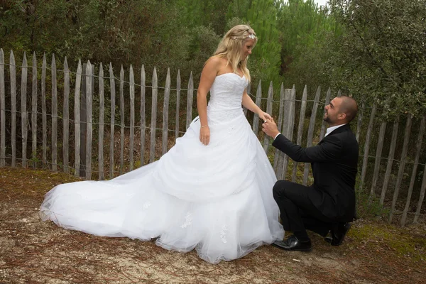 Beautiful wedding couple — Stock Photo, Image