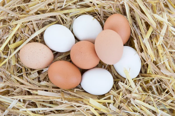 Chicken eggs in the nest box or with a straw. Rustic. Top view — Stock Photo, Image