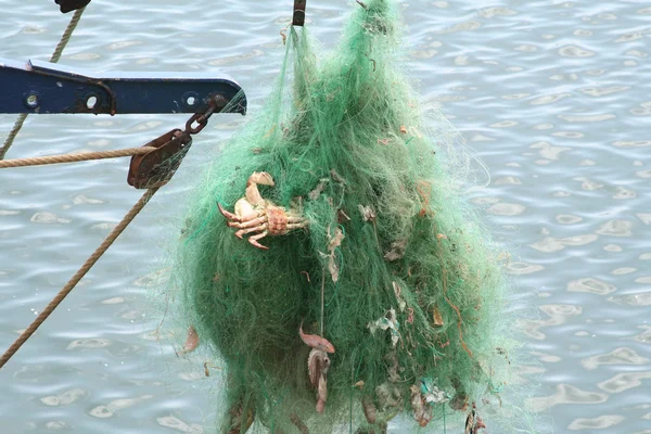 Деталь запутанных зеленых рыболовных сетей с крабом, рыбой — стоковое фото