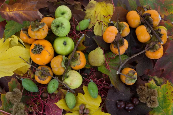 Jesień koncepcja natury. Persimmon upadek na drewno. — Zdjęcie stockowe