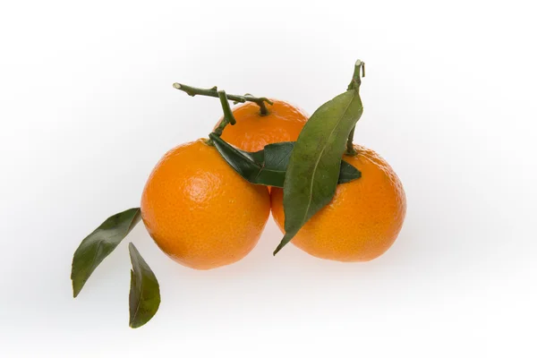 Mandarinas con hojas aisladas sobre fondo blanco — Foto de Stock