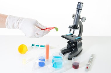 Laboratuar araştırmaları, kimyasal sıvı mikroskopla içeren şişesi
