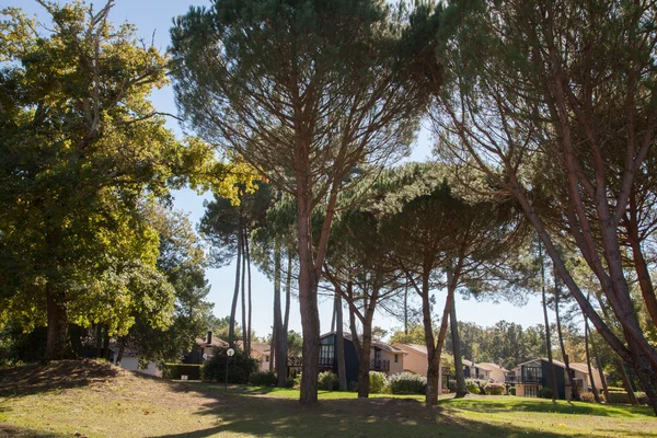 Vista del exterior de una hermosa casa moderna — Foto de Stock