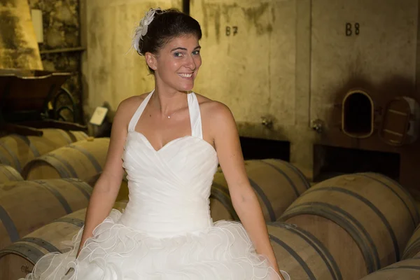 सुंदर दुल्हन का चित्र। शादी की पोशाक। पृष्ठभूमि पर वाइन गुफा — स्टॉक फ़ोटो, इमेज