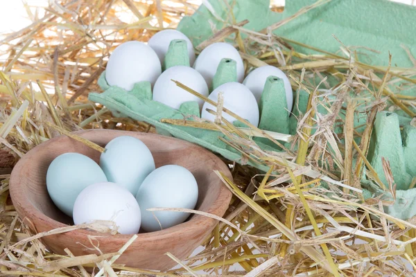 Groen en een witte eieren in houten vierkante kom — Stockfoto