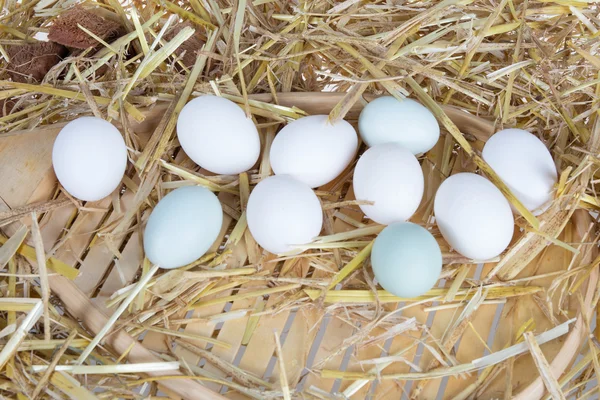 Eieren op het stro onder houten achtergrond geïsoleerd — Stockfoto