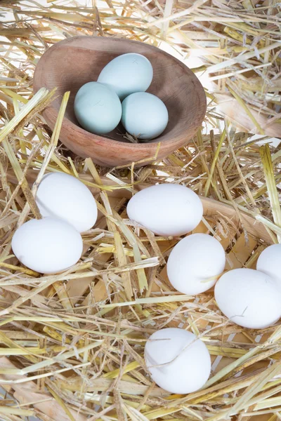 Синие и белые яйца на деревенском соломенном фоне — стоковое фото
