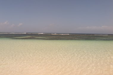Great Barrier Reef, adada