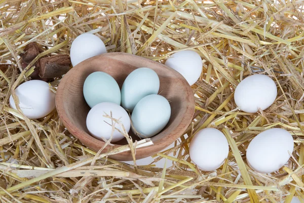 Färska ägg bakgrund / ägg bakgrund / färska ägg på vit bakgrund — Stockfoto