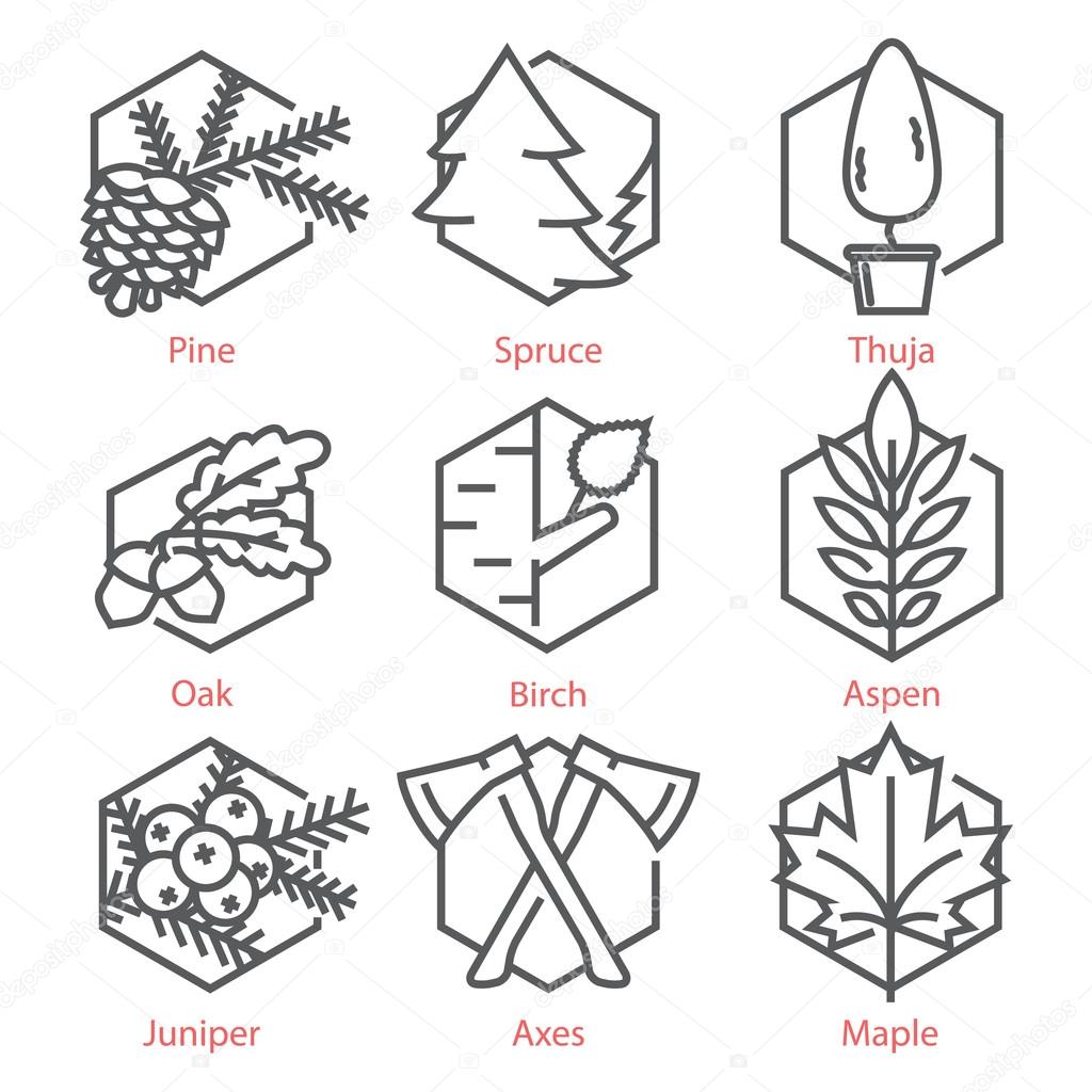  Vector thin line icons set with trees for nature and ecology in