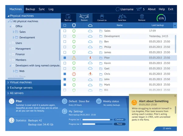 Modello di interfaccia dell'applicazione Web — Vettoriale Stock