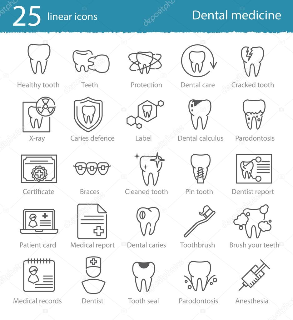 dental medicine thin line icons