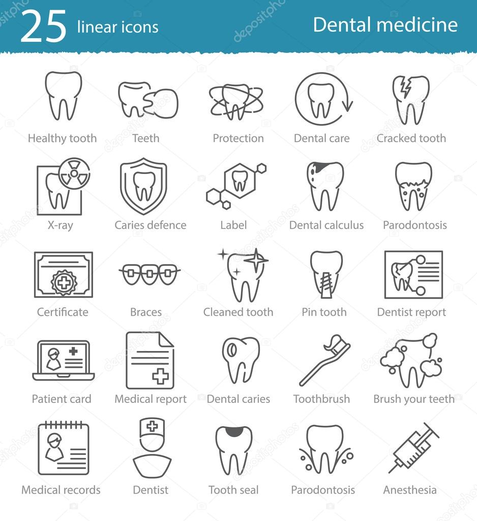 Vector dental medicine  thin line icons set for web design, application or infographics