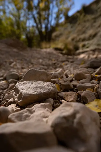 Речные Камни Сухой Реке — стоковое фото