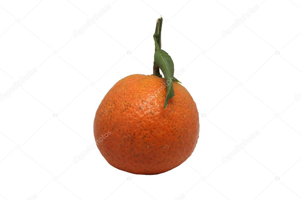 one tangerine on white background