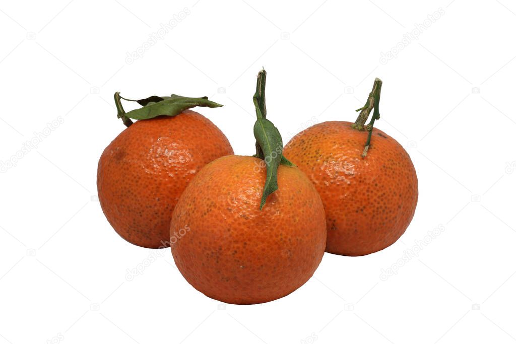 three tangerines on white background
