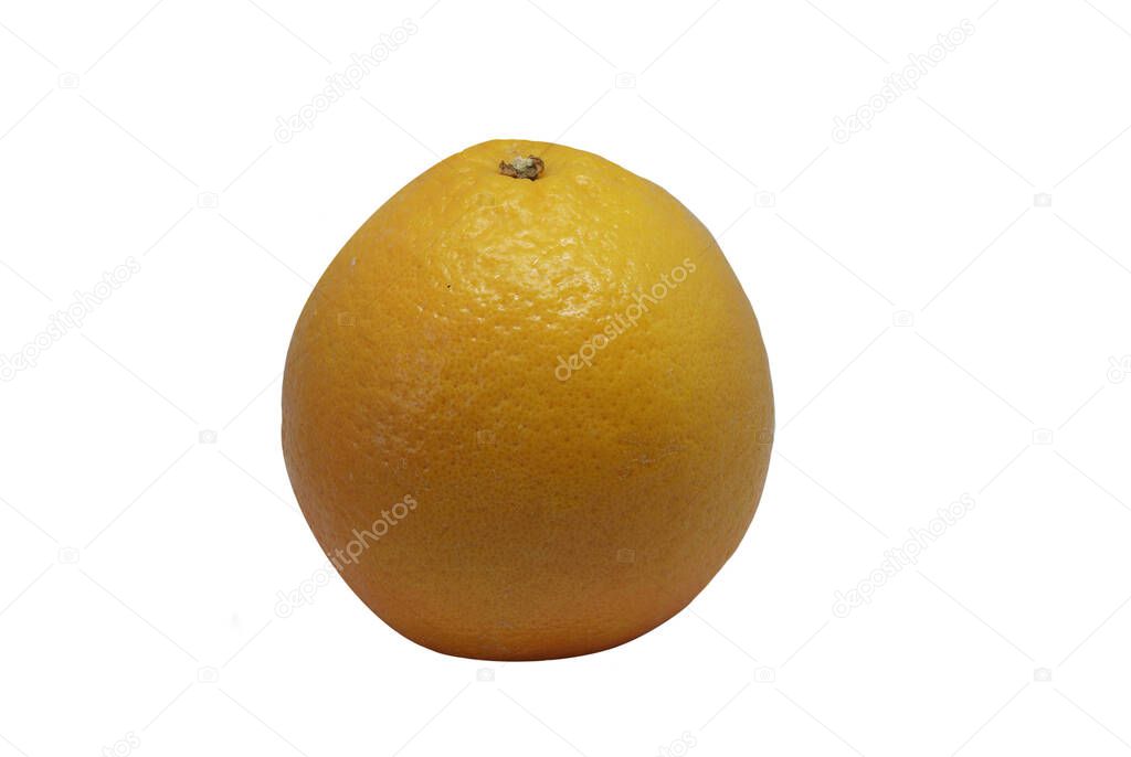 one orange on white background