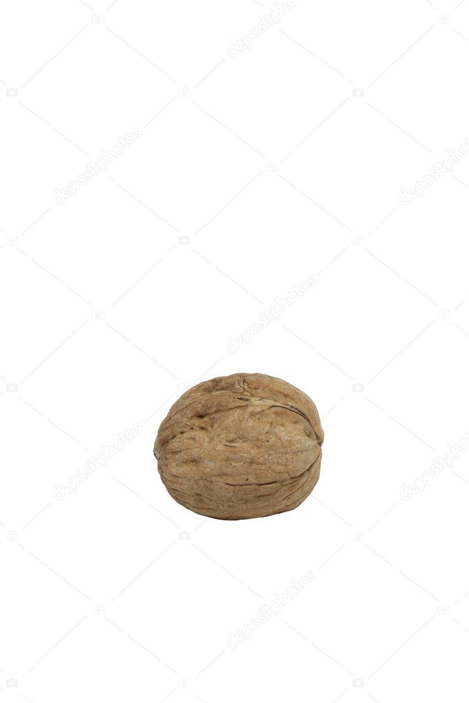 one walnut on white background