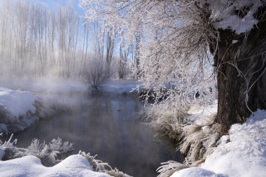 Soğuk bir kış gününde etrafı karla kaplı su buharı göleti..