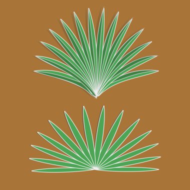 Vektör aloe