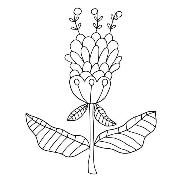 Roztomilé Fantazie Čmáranice Květ Listy Izolované Bílém Pozadí Vektorová Ilustrace — Stockový vektor