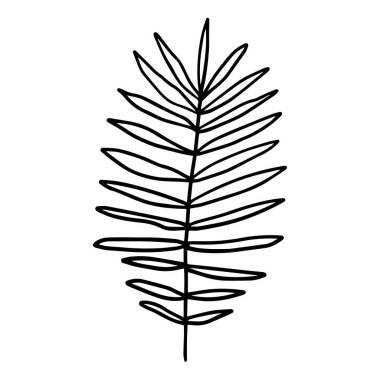 Beyaz arka planda izole edilmiş şirin karalama palmiyesi yaprağı. Karikatür çiçek elementi. Vektör illüstrasyonu.